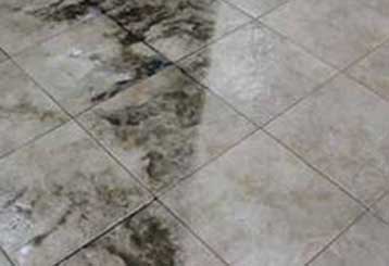 Bath Tub Mold | Carpet Cleaning Mission Viejo,CA