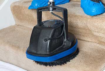Carpet Cleaning Measures | Mission Viejo