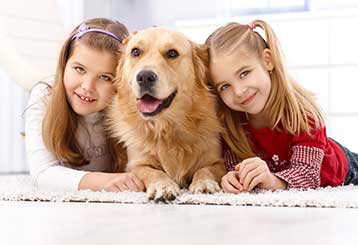 Affordable Pet Hair Removal | Carpet Cleaning Mission Viejo