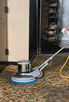 Low Cost Carpet Cleaning Services Las Flores