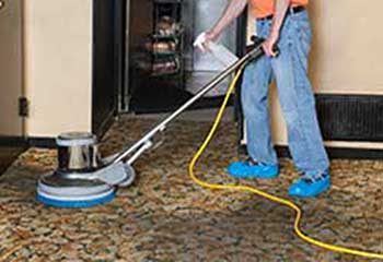 Carpet Cleaner Near Me | Las Flores