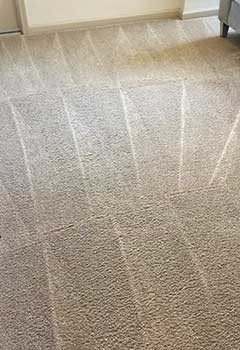 Fast Carpet Stain Removal For Mission Viejo Home